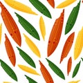 pattern of green yellow red leaves of plantain plant in abstract style Royalty Free Stock Photo